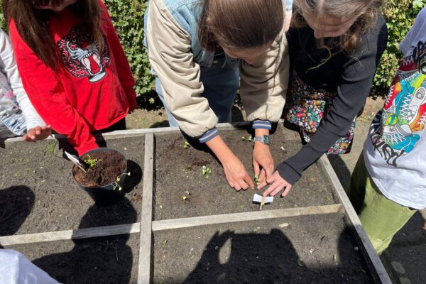 Hoe plant je een zaadje? Moestuincoach Evy geeft les in respect voor de natuur
