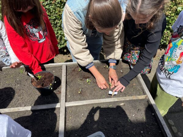 Hoe plant je een zaadje? Moestuincoach Evy geeft les in respect voor de natuur